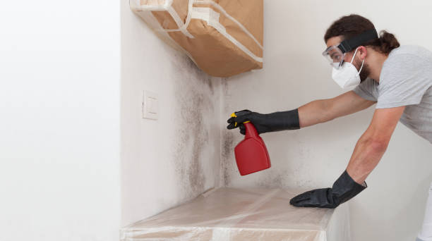 Professional Mold Cleanup technician working in Garrett, TX
