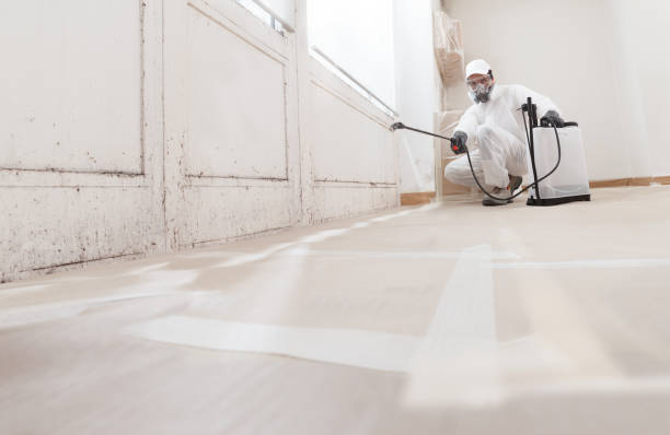 24/7 Emergency Mold Cleanup experts in Garrett, TX