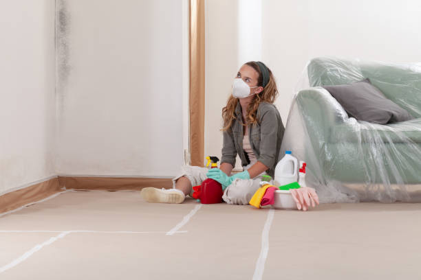 Reliable Mold Cleanup contractor in Garrett, TX by Cheap Mold Removal